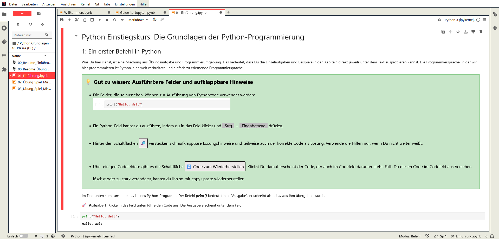 Die JupyterLab-Umgebung von Coding Labs. Einstiegskurs.